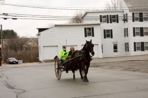 carriage-rides-08_0061