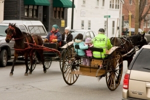 carriage-rides-08_0169
